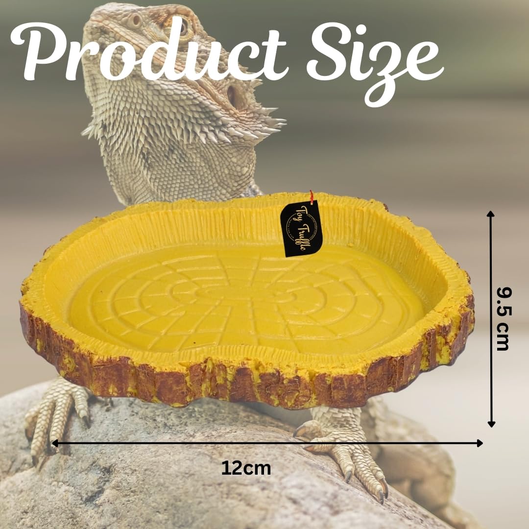 Toy Truffle Reptile, Turtle Gastronomy Dish: Elevate Your Pet's Dining Rituals with a Strong and Adaptable Feeding Tray, Perfect for Showcasing Healthy Fare with Elegance, Opulent Dining Experience 1