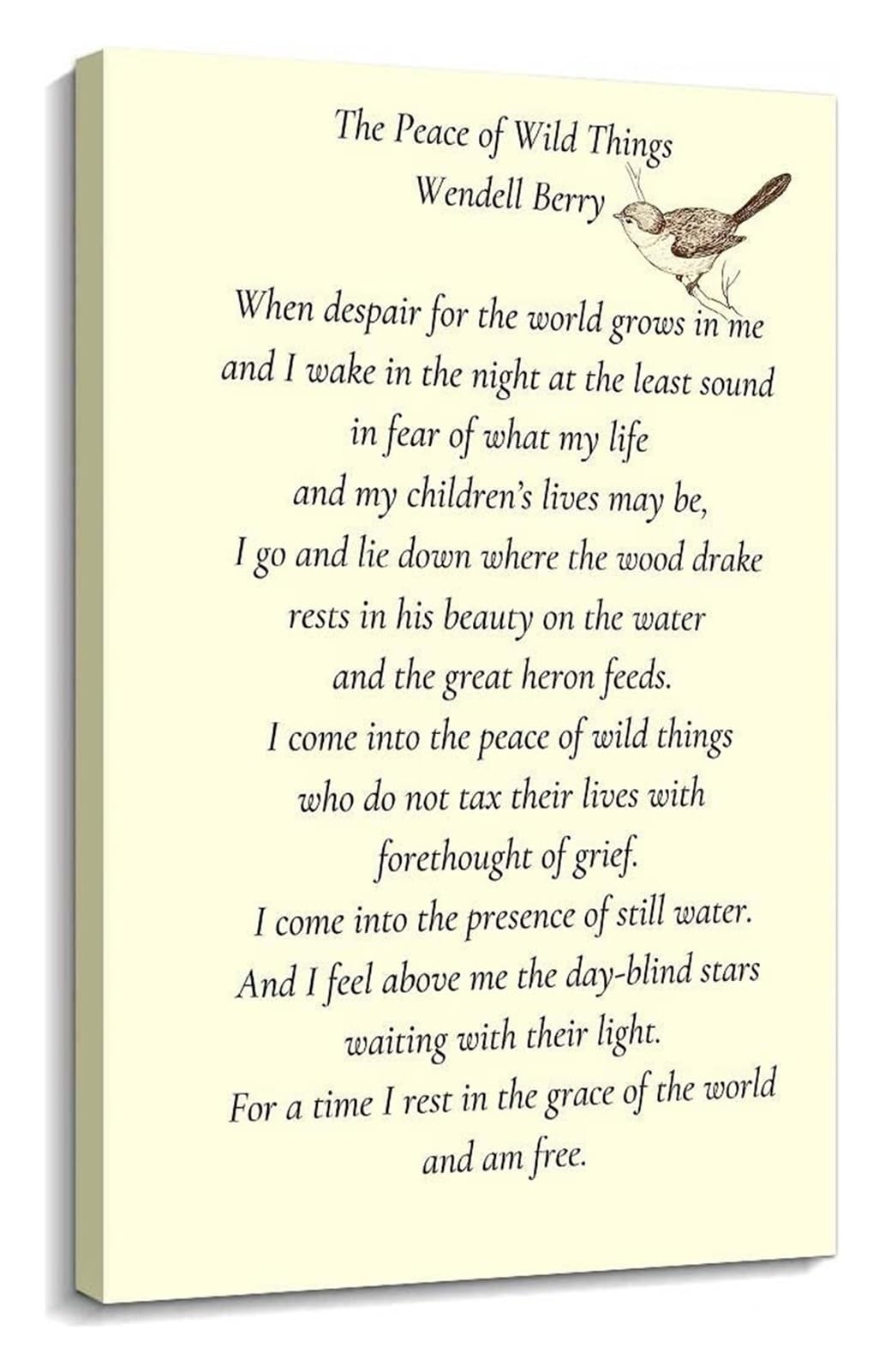IDGTTLDF The Peace of Wild Things Poem Wall-Art Posters Framed,16x24inch(40x60cm)