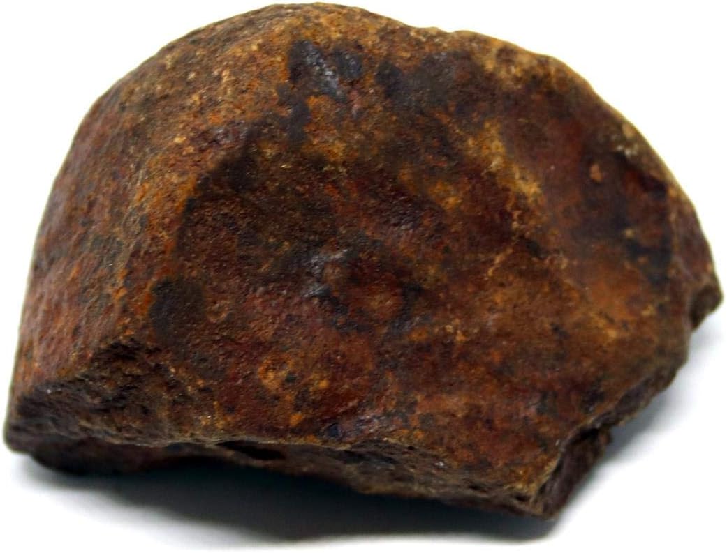 Fossils, Meteorites, & More Moroccan Meteorite Chondrite Genuine 127.5 Grams w/Color Card 15531 8o