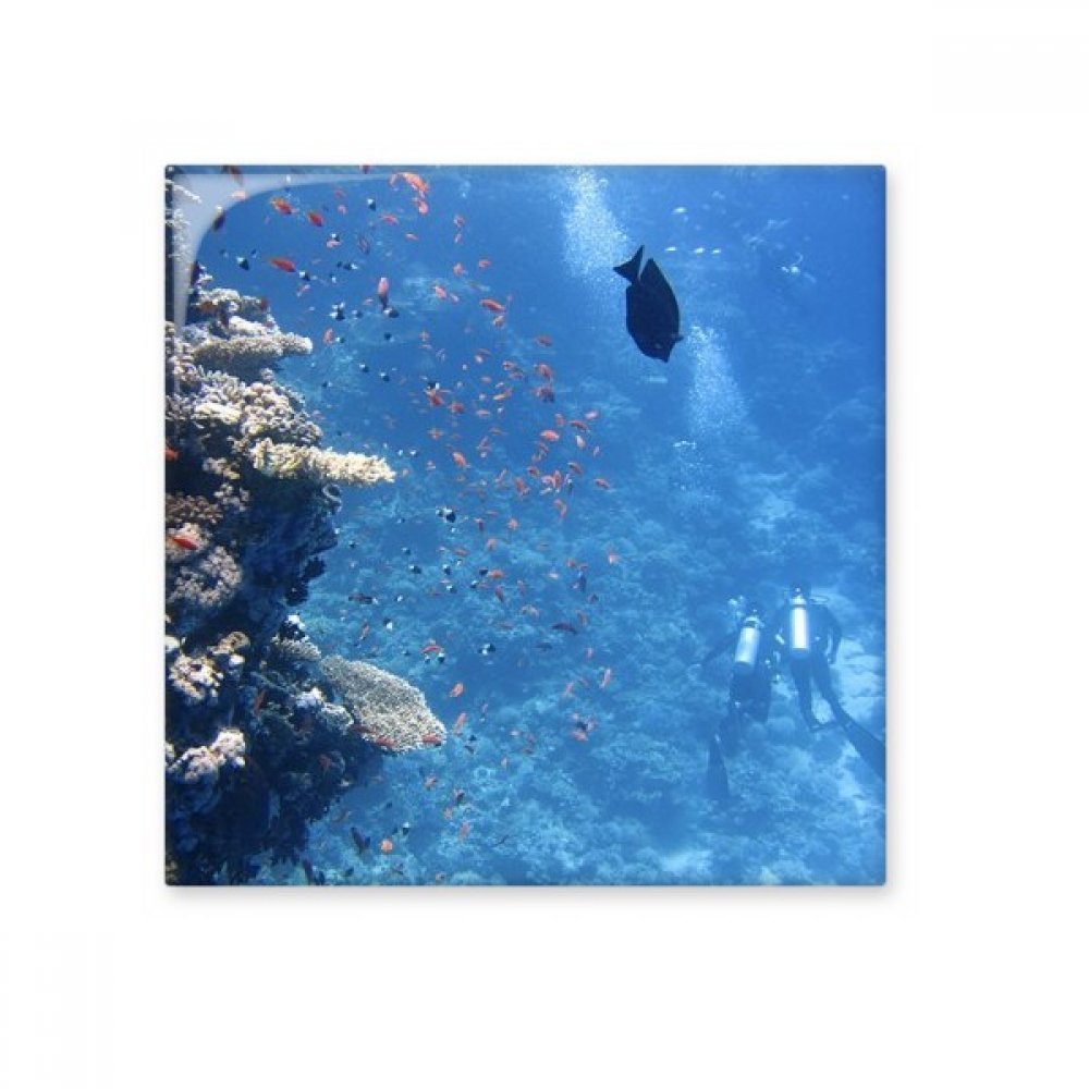 Créez une ambiance marine avec le carreau faïence Ocean Poisson pour votre salle de bain