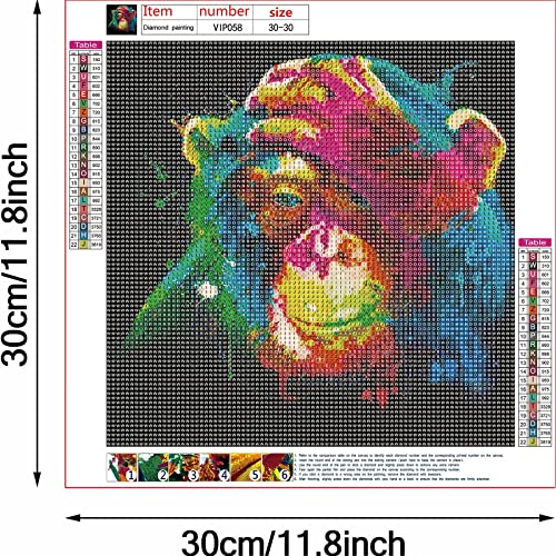 Tabeskly 5d Diamond Painting Kits for Adults UK Colorful Animal Orangutan Jewel Bead Gem Crystal Dimond Picture Art Kit Adults Full Drill Kids Crafts Gift - Image 4