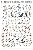Sibley's Backyard Birds: Eastern North America