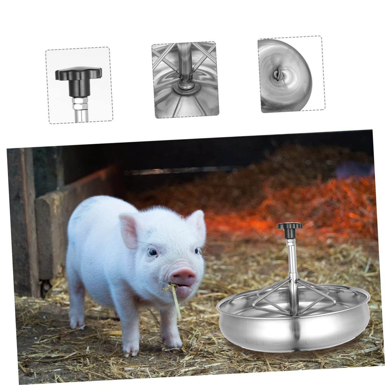 Gatuida Mangiatoia Per Suinetti Inossidabile Ciotola Resistente e Antisversamento Per Alimenti e Facile Posizionare Design e