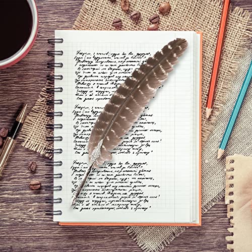 Outuxed 15Pcs Natural Turkey Feathers For Crafts, 10-12 Inches Large Feathers For Hat Floral Diy Home Wedding Party Decoration Collection #TOP3