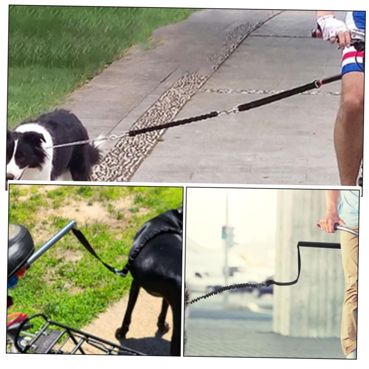 Guinzaglio per Cani da Bicicletta Robusto Design Ergonomico Oxford e Lega, Adatto per Cani Piccoli e Medi Durante Viaggi o Attività Indoor