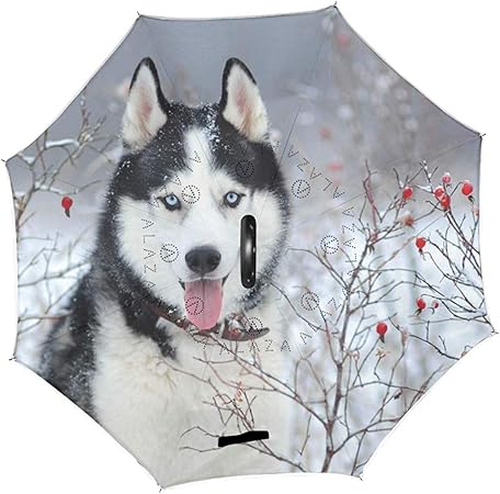 husky umbrella