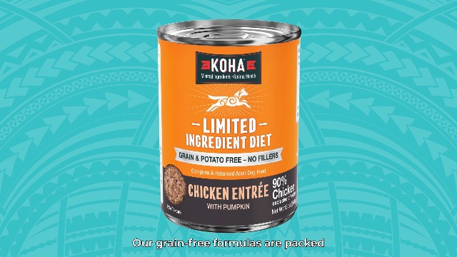 Amazon.com : KOHA Limited Ingredient Diet Lamb Entrée for Dogs
