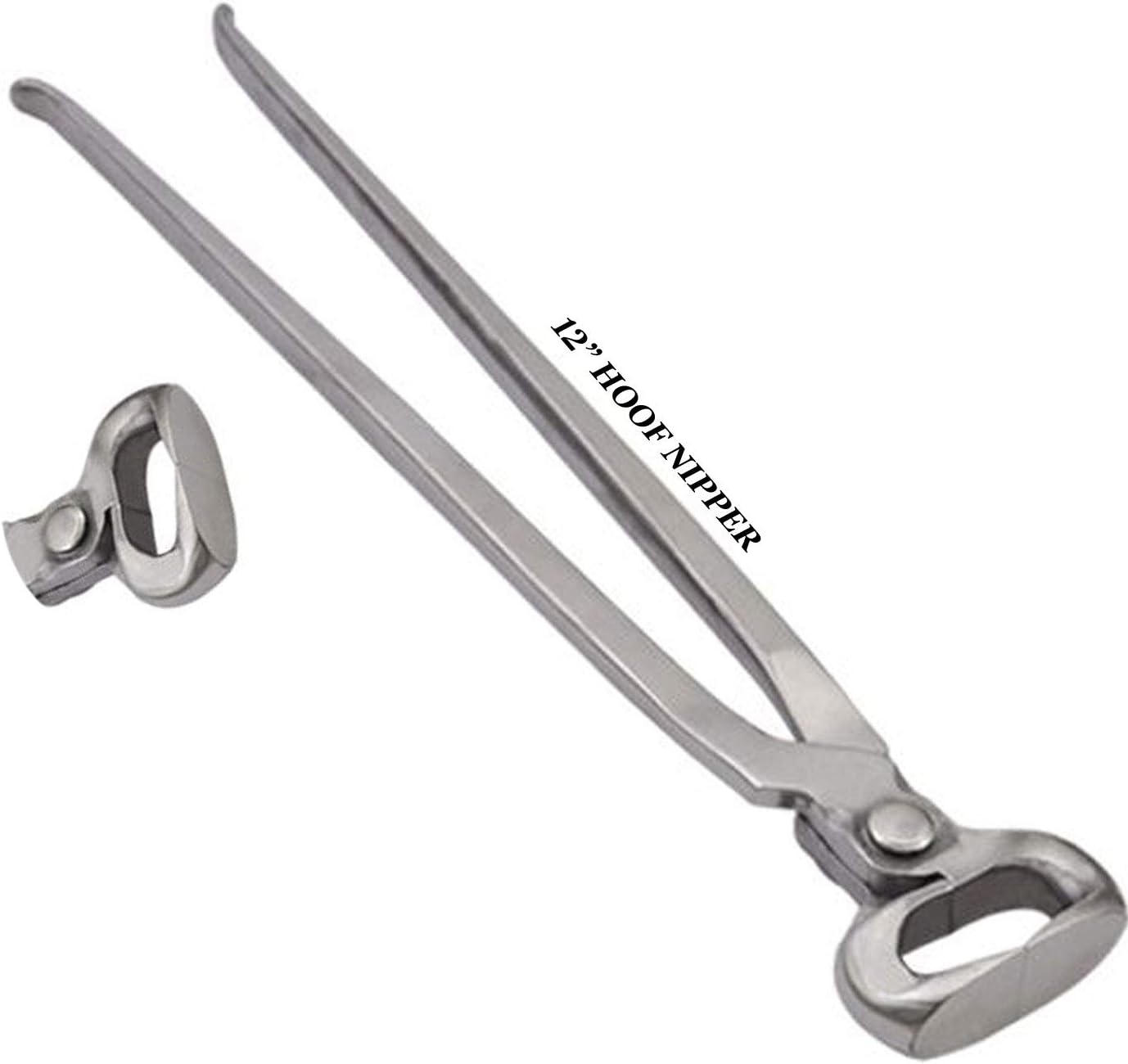 Hoof Nipper 10"&12"&14"&15" Vanadium Steel Farrier Tool in Dull Finish (10 Inch)