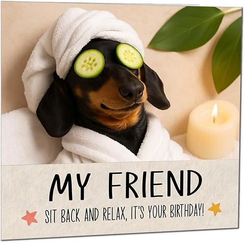 Friends Birthday Card - Sit Back and Relax Funny Sausage Dog Birthday Cards for Friend