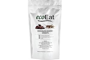 ecoEat Edible Insects Big Crickets Covered in Dark Chocolate