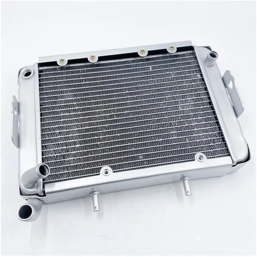 Part numbers: Water Radiator With Fans Fit For 260cc 300cc LH260 LH300 Atv Quad Parts