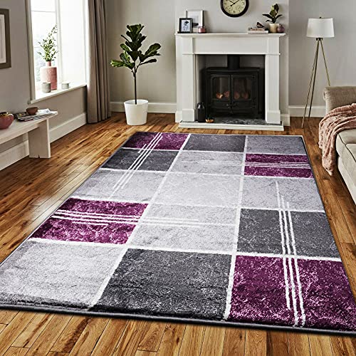 B&B Super Soft Rugs for Living Room Bedroom Rug - Thick Dense Pile Non Shed Fluffy Rug For Bedroom - Small Medium Large Carpet Area Rugs Kitchen Floor Mat (Purple, 120 x 170 cm (4ft x 5ft 8"))