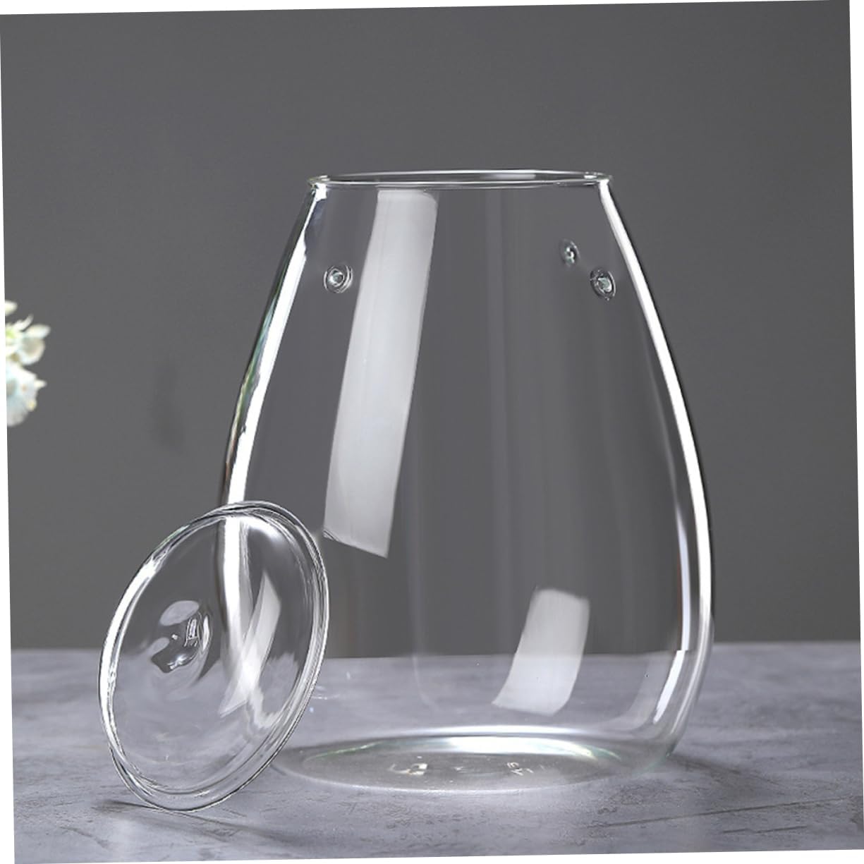 Balacoo Glass Plant Terrarium Eco Bottle Cover Hydroponic Vase Micro Landscaping for Home