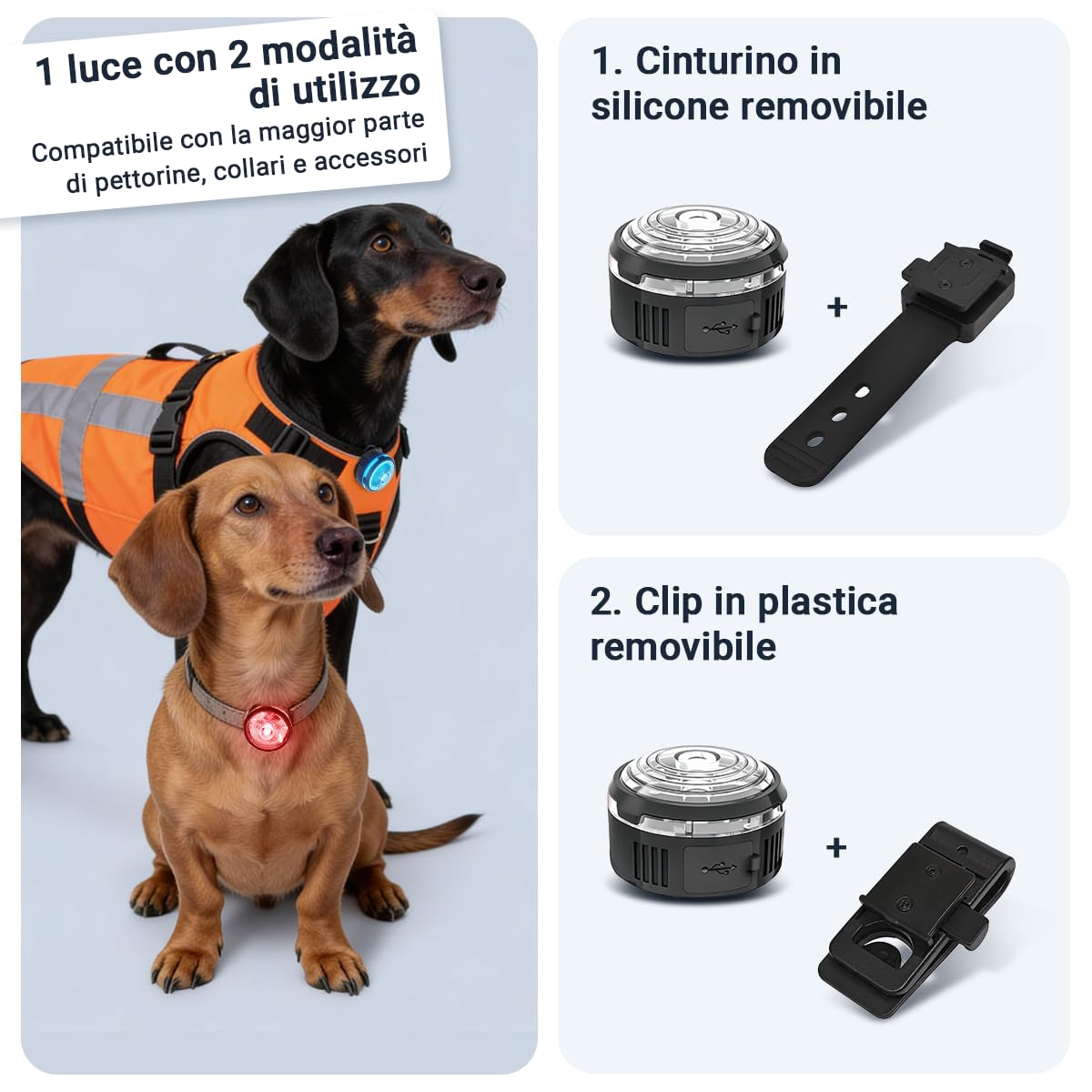 PAJ LIGHT MINI - LED Ultraluminoso per Collari e Pettorine - Cani Piccoli, Medi e Gatti - Regolazione Flessibile - 100% Impermeabile - 7 Colori - Sicurezza e Visibilità Notturna