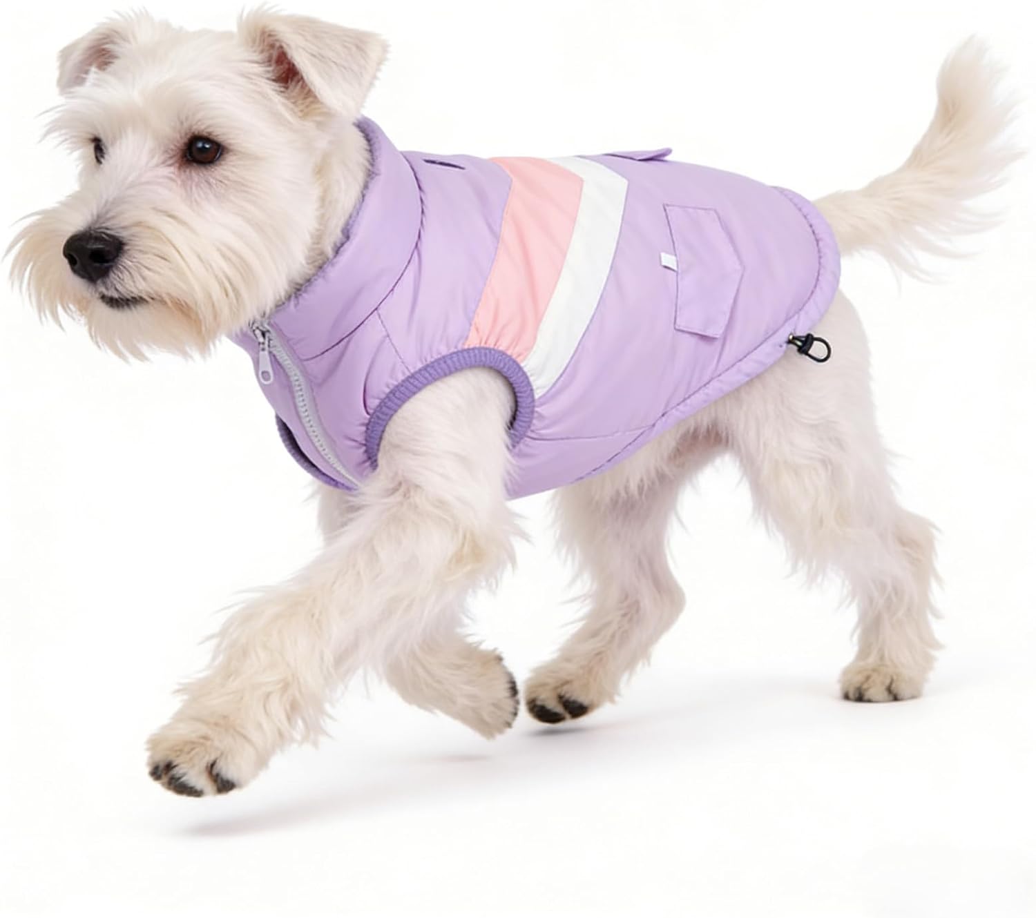 Dog Winter Jacket for Small Dogs Waterproof with Harness Hole,Windproof Puppy Fleece Vest Warm for 16 to 24lbs