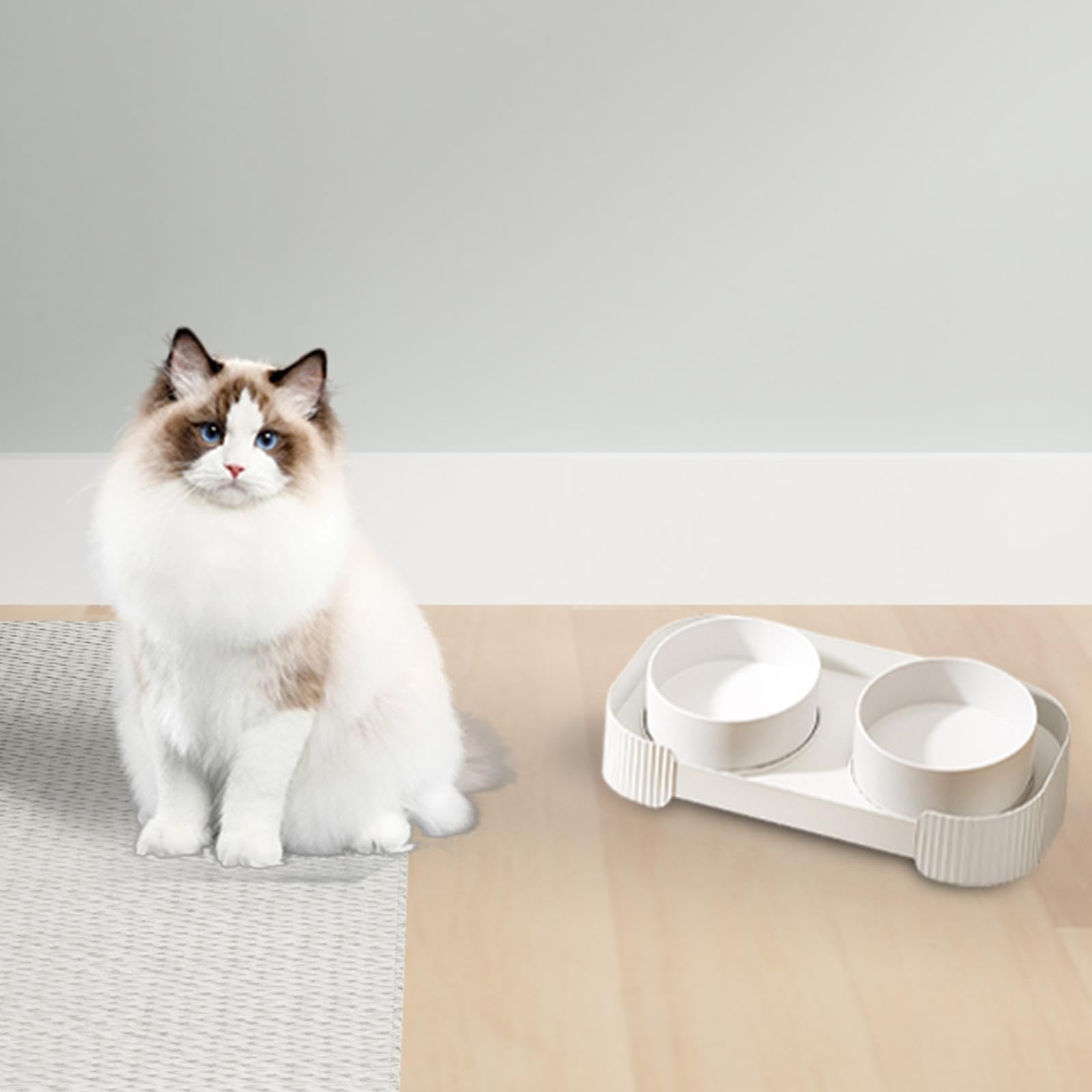 F Fityle Ciotole per Gatti in Ceramica Rialzate, Ciotola per l'alimentazione rialzata, Set di Ciotole per Cani Antiscivolo, Set di Ciotole Doppie per Cibo e, Bianco