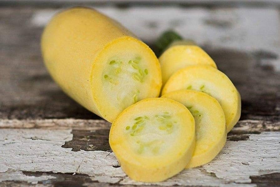 Amazon.com : Butta F1 Hybrid Summer Squash Seeds - an