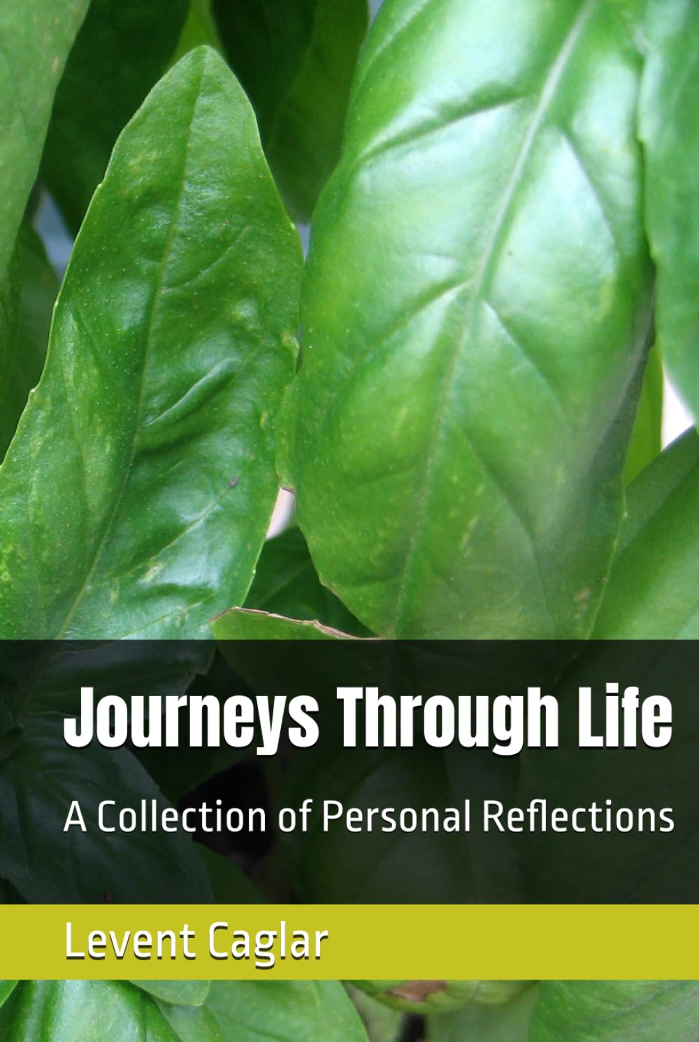 Journeys Through Life: A Collection of Personal Reflections