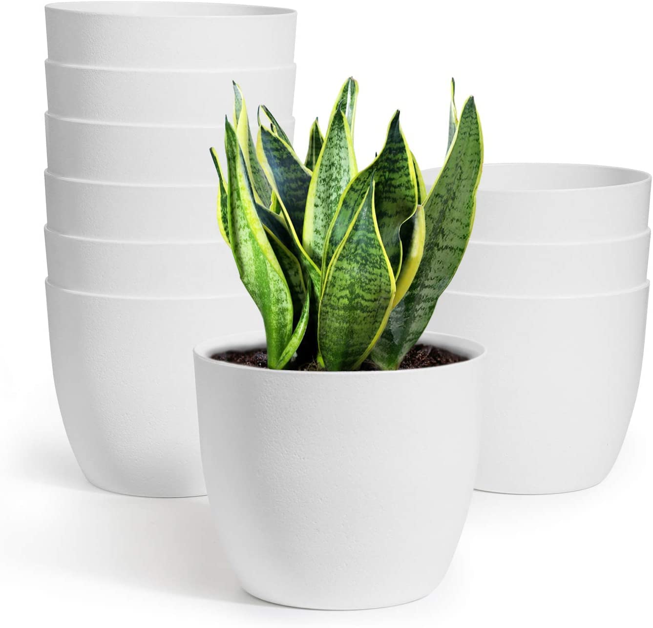Planters Plastic 10 Inch Set of 5, Plant Flower Pot Modern Decorative Seeding Nursery Pots Outdoor Indoor Garden for All House Plants Flowers Herbs African Violets (White) Planters Plastic 10 Inch Set of 5, Plant Flower Pot Modern Decorative Seeding Nursery Pots Outdoor Indoor Garden for All House Plants Flowers Herbs African Violets (White)