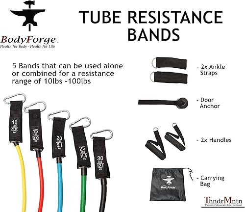 Miniatura 6 de BodyForge - Alfombrillas de yoga ecológicas con líneas de alineación y esterilla de yoga y bandas de ejercicio