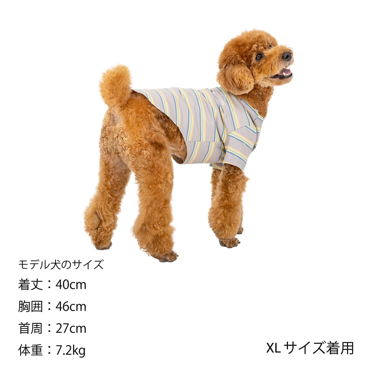 犬ボーダーシャツ マルチボーダーTシャツ 犬お洋服 ペットボーダー