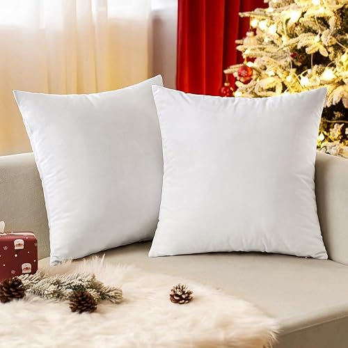 EMEMA Pack of 2 Velvet Throw Pillow Covers Decorative Square