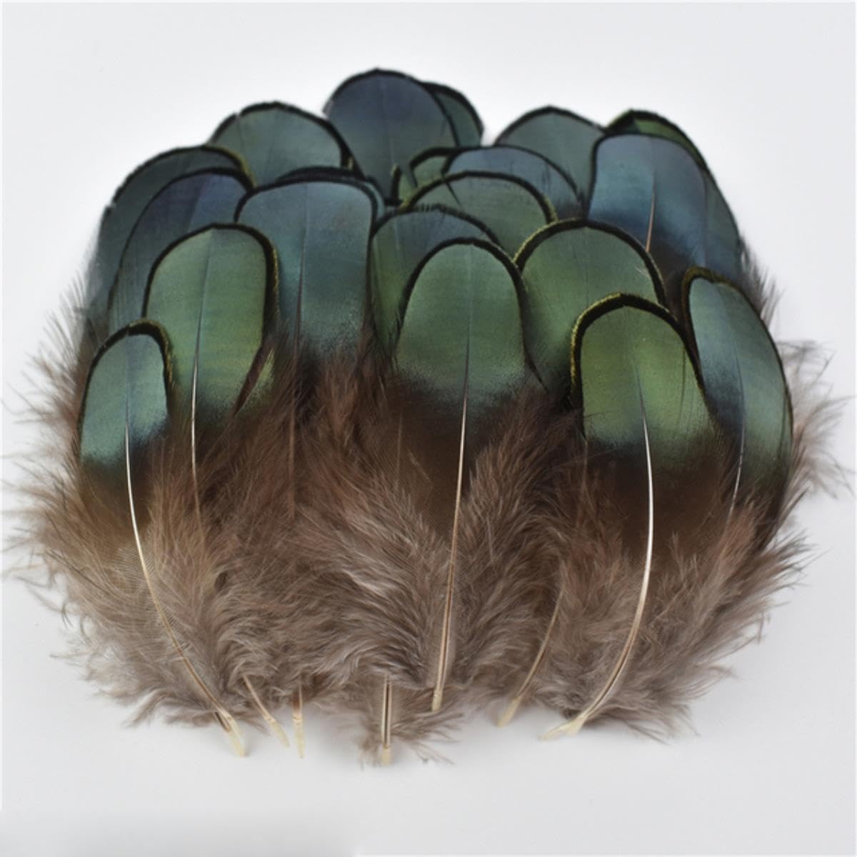 Natürliche Pfauenfasanenfedern, kleine Hühnergänsefedern, Materialien, Bastelzubehör, Dekoration, Größe 3–7 cm, 500 Stück