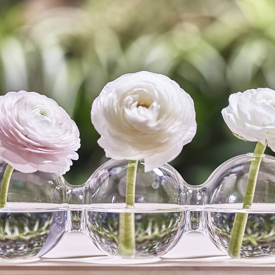 Amazon.co.jp: CHIVE 'Caterpillar' バブルバッド花瓶 センターピース Amazon.co.jp: CHIVE 'Caterpillar' バブルバッド花瓶 センターピース