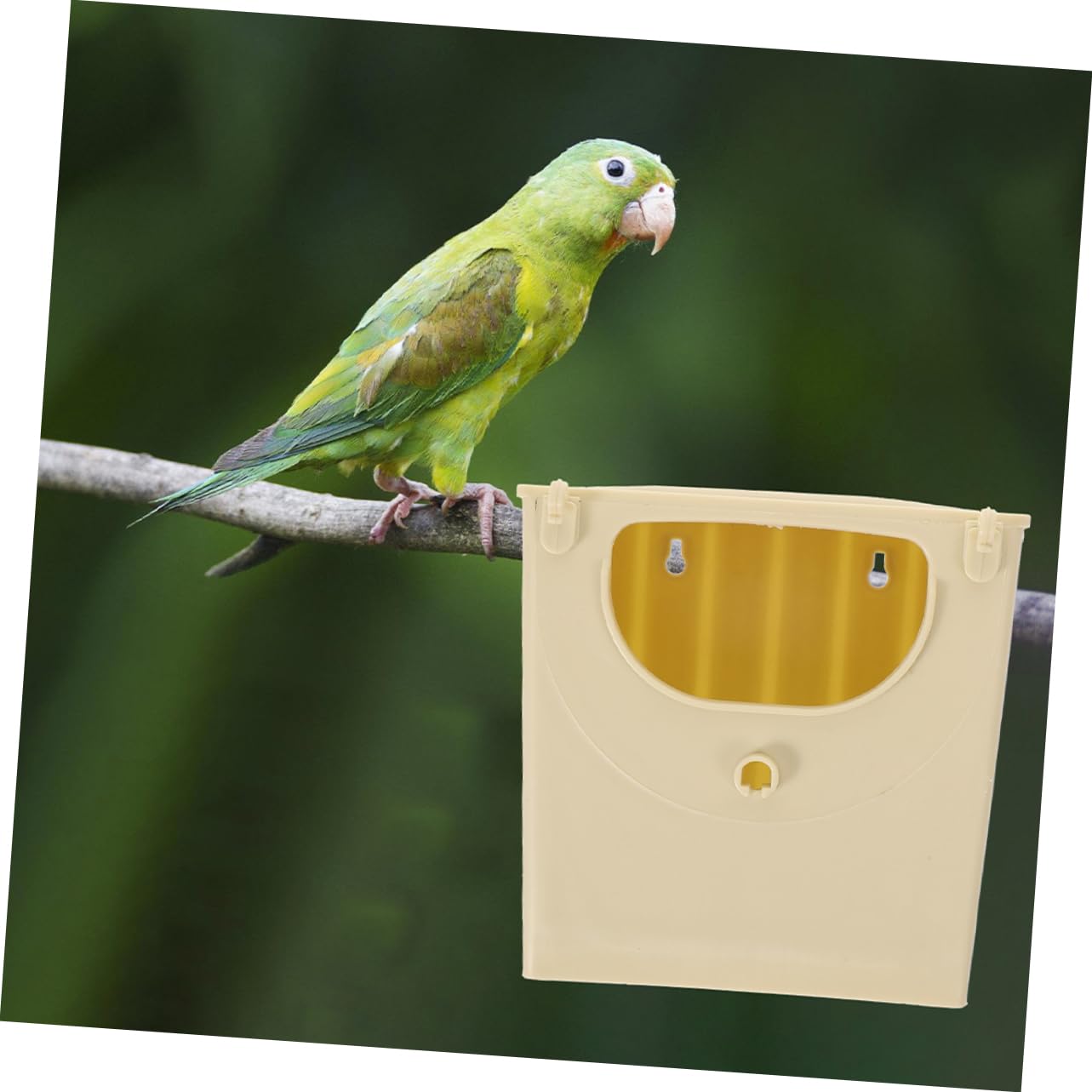 YARNOW 10 Piezas Caja De Cría De Aves Jaula para Loros Decoración De La del Pájaro Nido para Dormir Nido De Pájaro Jaula De Pájaros De Plástico Nido De Gorriones El Plastico