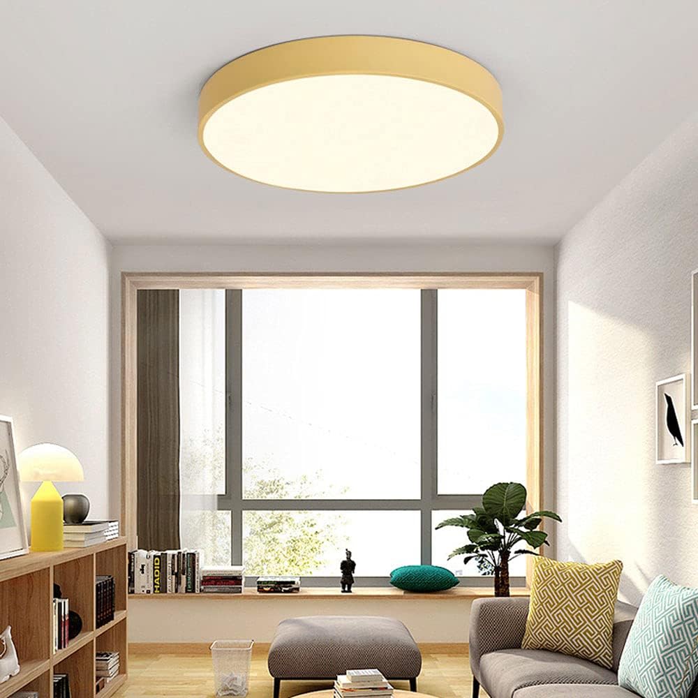 RCIDOS 1-Light Flush Mount Ceiling Light Acrylic Black Lamp Shade 3000K-6000K Dimmable Entryway Ceiling Light Indoor Home Lighting Close to Ceiling Light Fixtures for Bedroom Living Room Dining Room