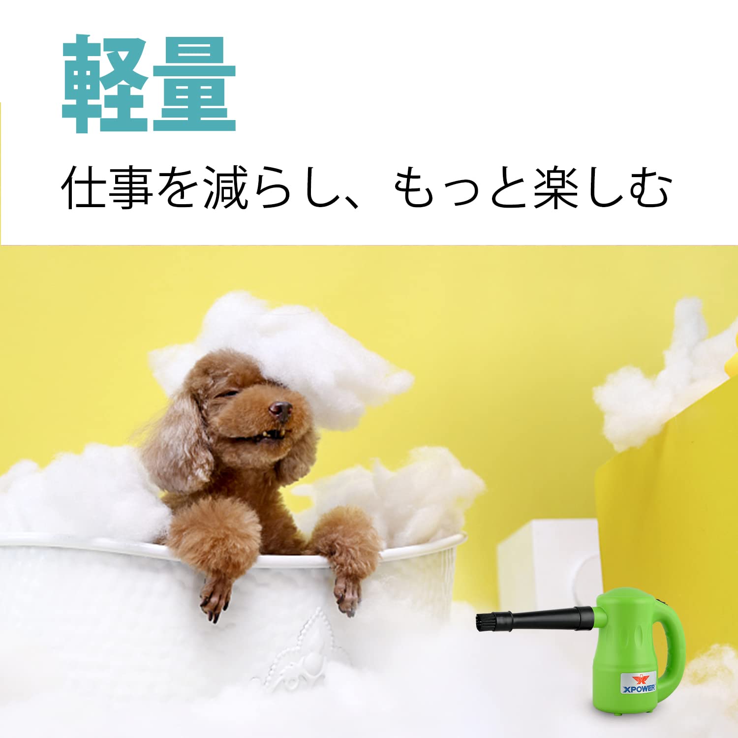 Amazon.co.jp: XPOWER B-53ペットドライヤー 業務用ドライヤー 猫