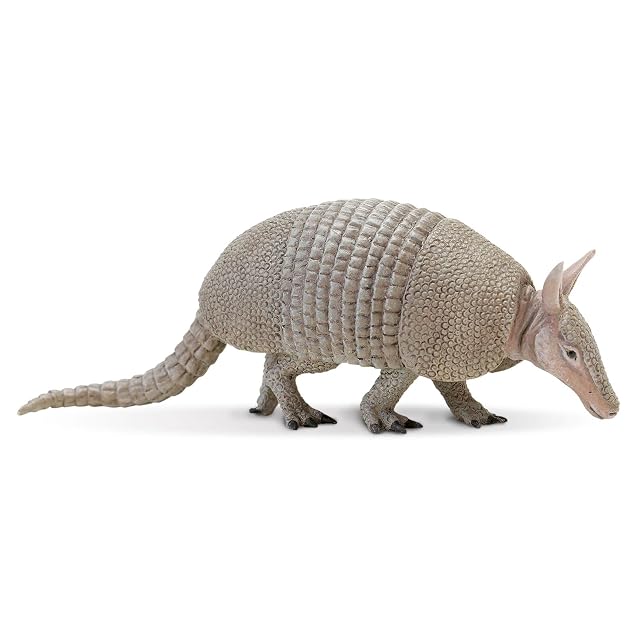Cerdo Hampshire 10.7cm