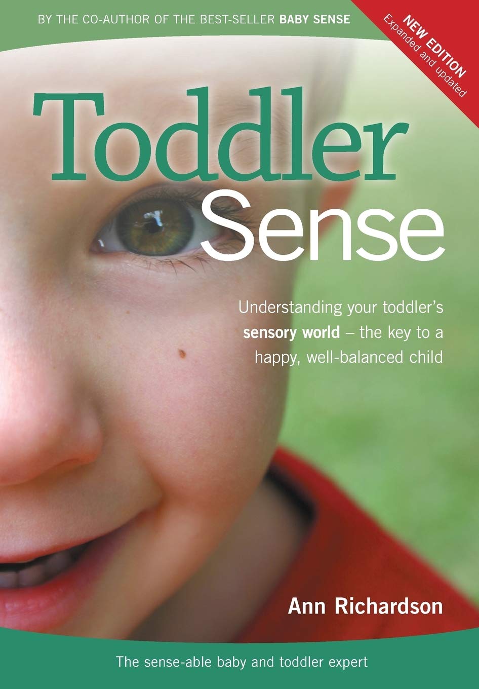 Toddler sense: Understanding your toddler's sensory world