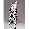 Product Photo 5