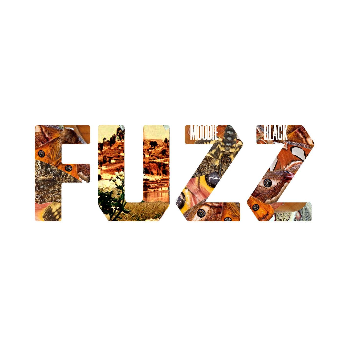 Fuzz (LP) [VINYL]