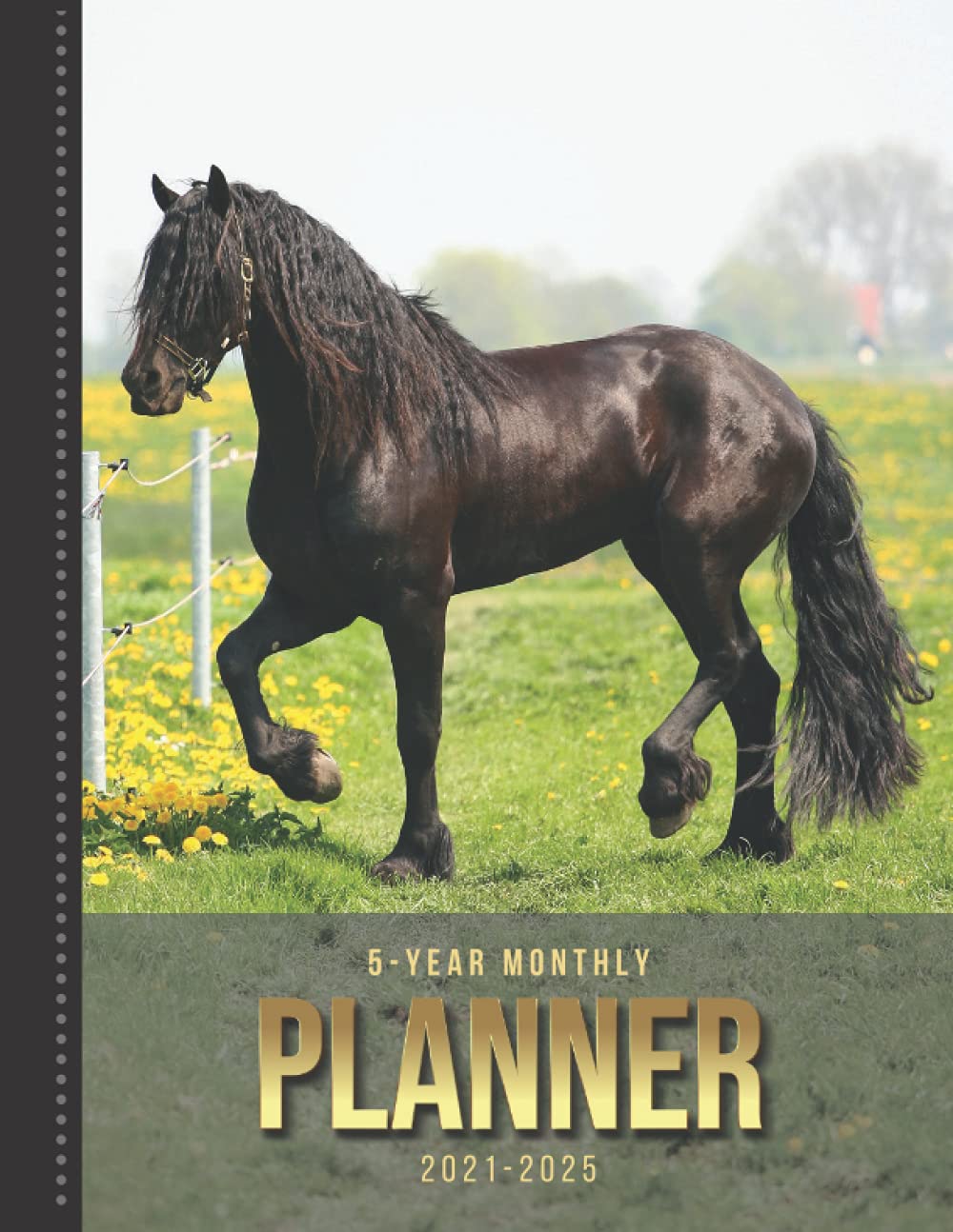 Buy 5-Year Monthly Planner: Black Horse Art Photo / Dated 8.5x11 Book