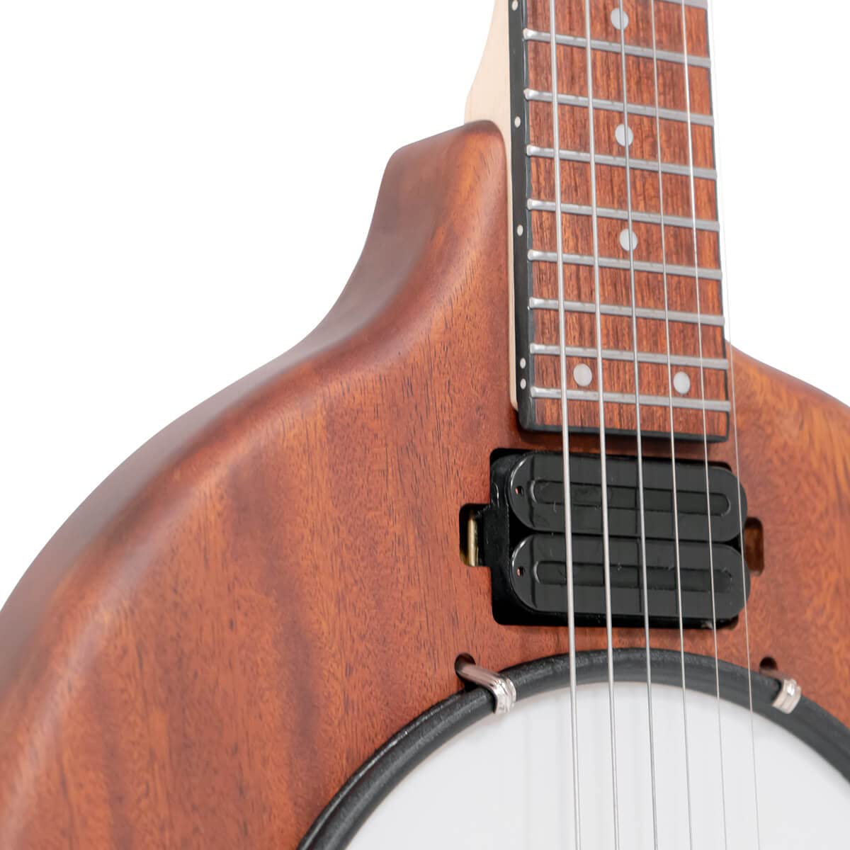 Amazon.com: Gold Tone 6 String Guitar Banjo, Right (EB-6