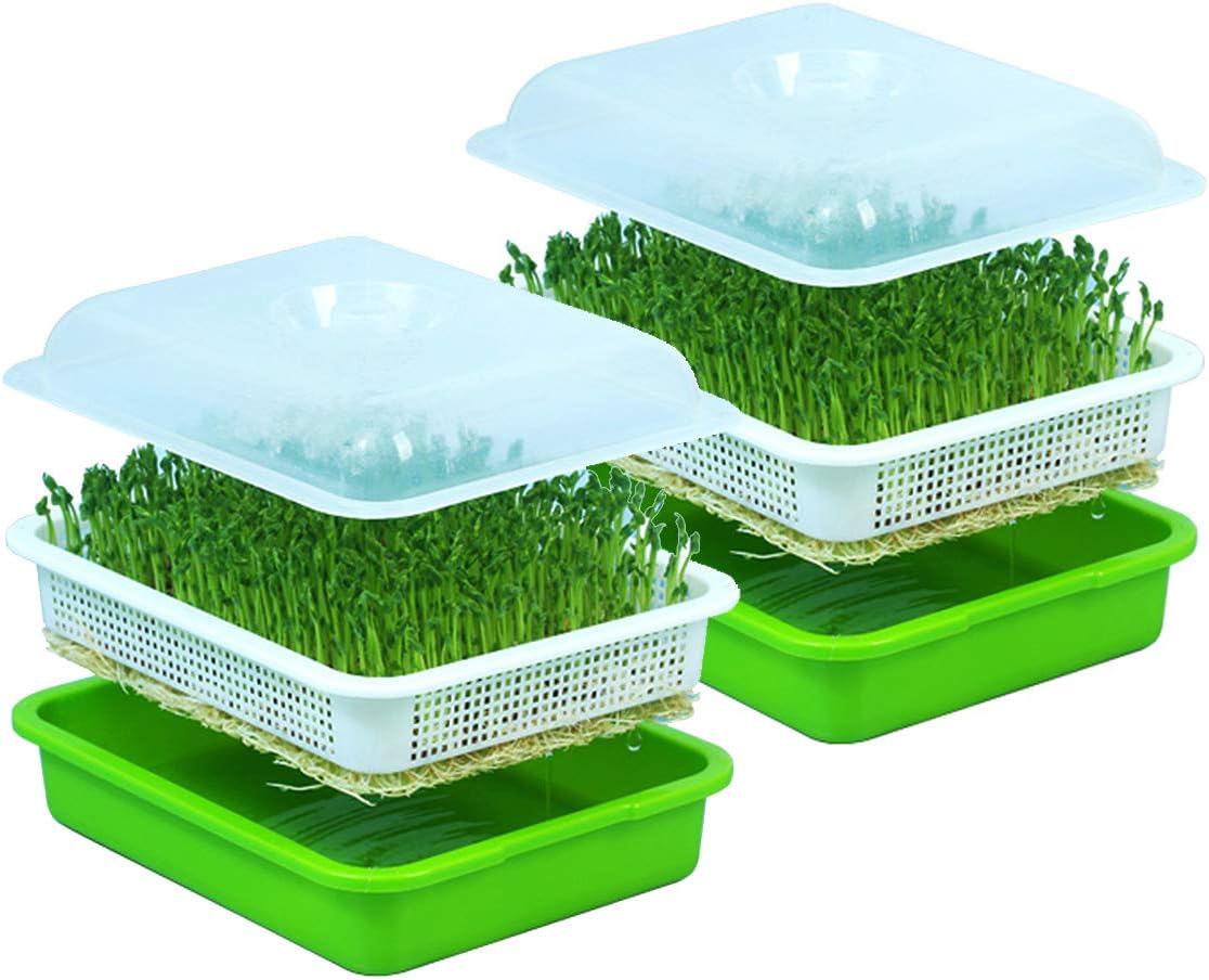 Polypropylene (PP) Seed Sprouter Tray With Lid BPA Free Bean Sprout Grower (2Pcs Tray), 36Cm X 29 Centimeters,Multicolor