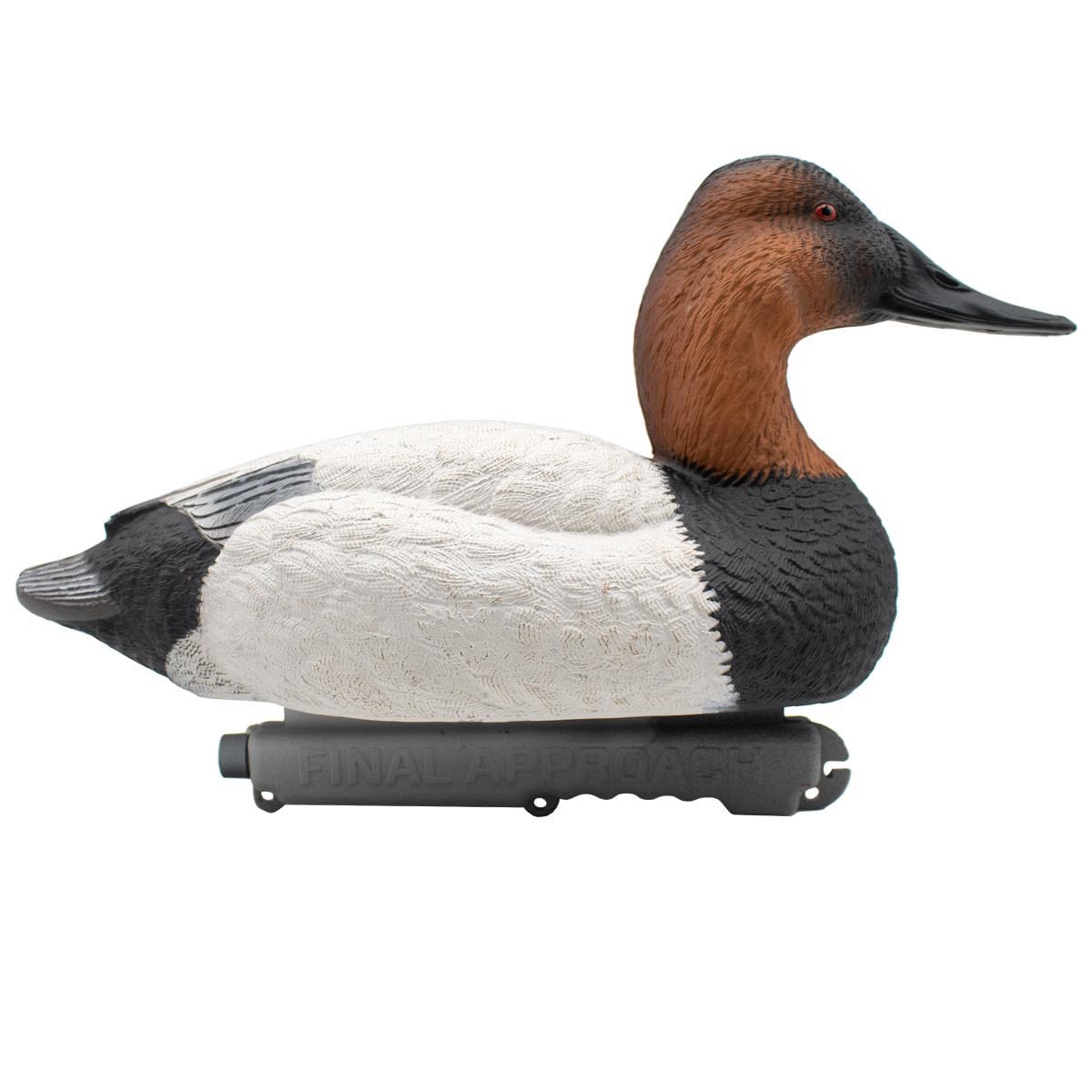 Final Approach Live Foam Filled Canvasback, Decoy 6 Pack