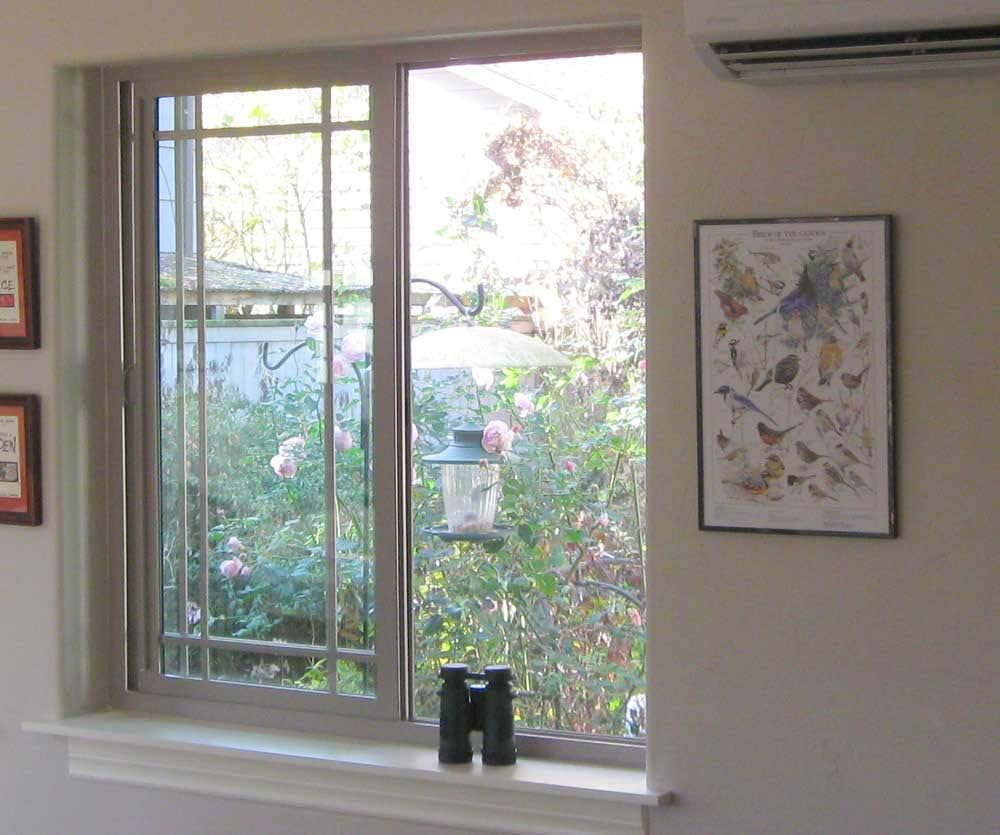 Backyard Bird Identification Mini Poster Set. Summer and Eastern Winter Species ID Charts