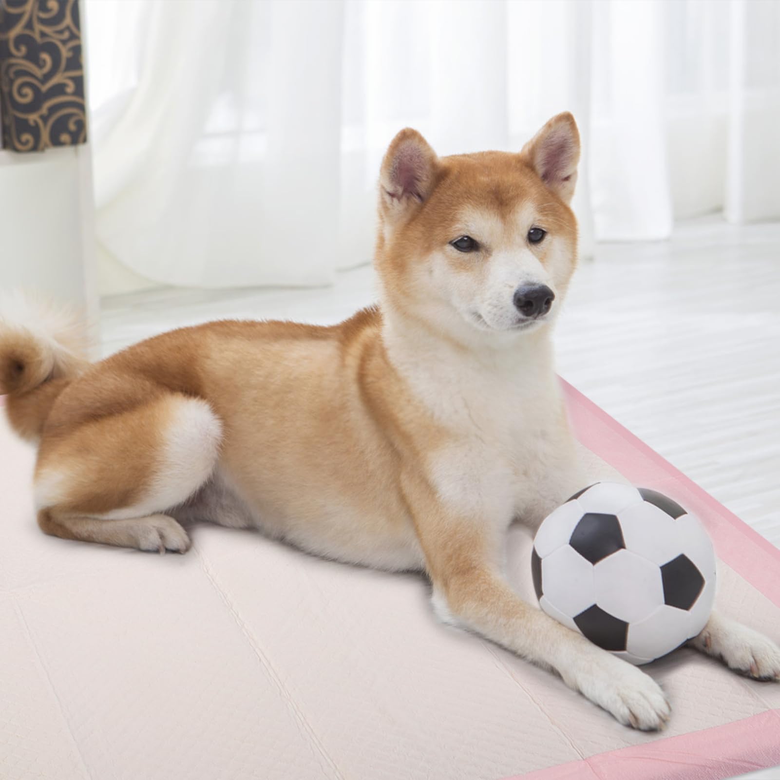 Didiseaon 1bolsa Empapadores para Perros Empapadores Superabsorbentes para Cachorros Empapador De Entrenamiento para Mascotas para Casa o Viaje Empapador para Orinar De Perro