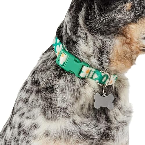 YOULY Daisy Dog Collar Large