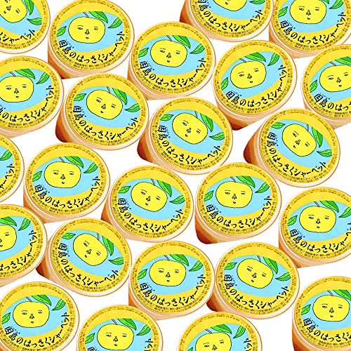 広島銘菓 因島の はっさくシャーベット 75g 24個セット tau 広島県産 八朔シャーベット おりづるタワー人気商品 お土産