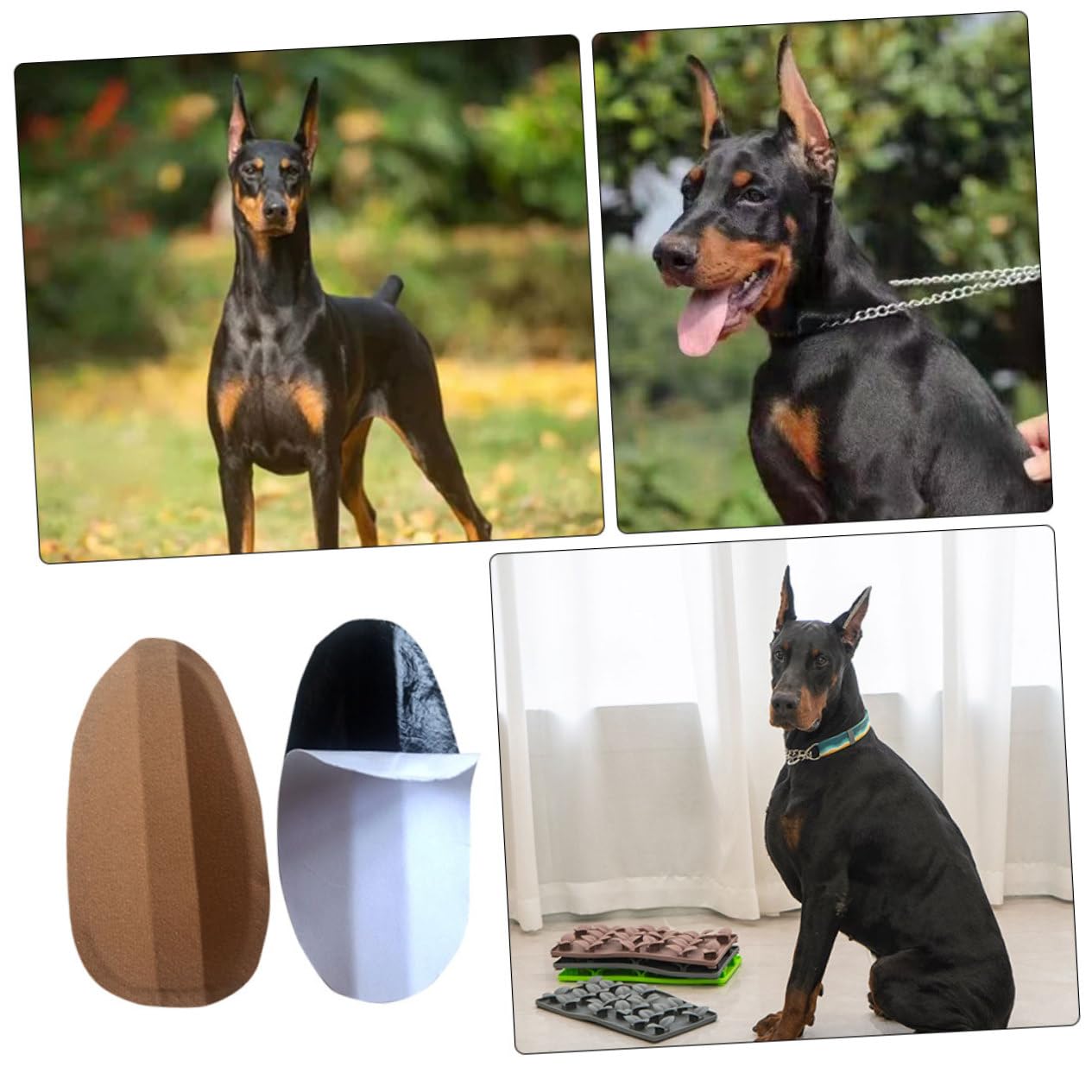 5 Pares en la Oreja Pegatina de pie con Oreja de Perro publicación de Oreja de Cachorro Soporte para Orejas de Perro Reutilizable Accesorio para Orejas de Perro stmnt Perros