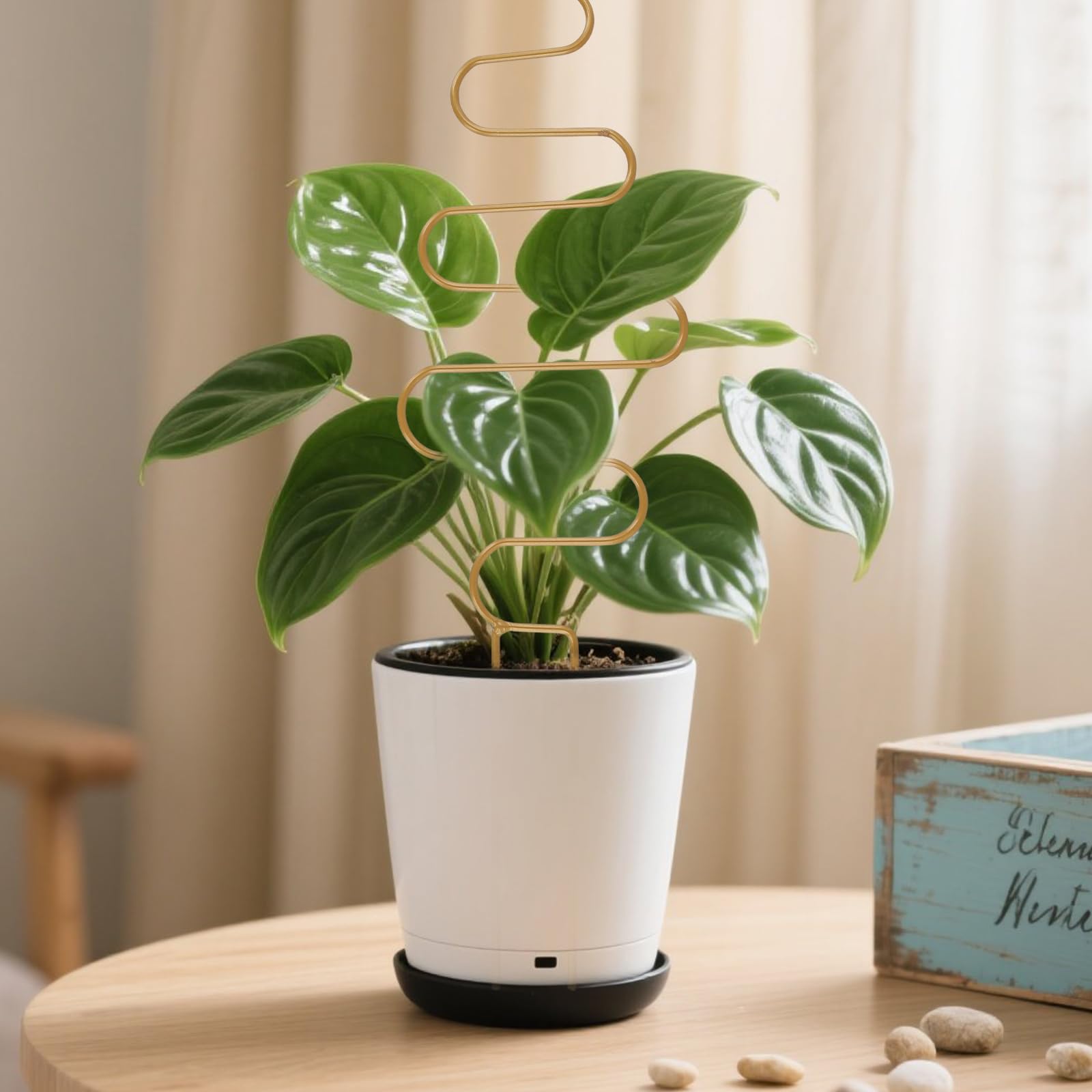 Lot de 12 treillis dorés pour plantes en pot d'intérieur, petits treillis métalliques avec 4 motifs différents, support de plantes grimpantes pour jardin, plante d'intérieur
