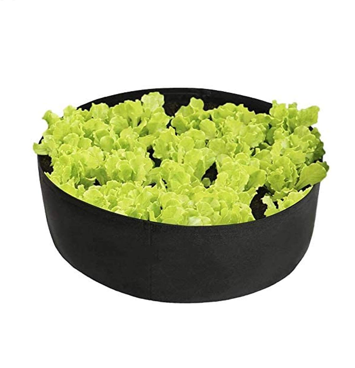 Amazon Co Jp Heqian 大きなレイズドベッド 野菜 成長バッグプランターバッグトマト ニンジン タマネギ サツマイモ カブ レタス ビート チャード ほうれん草 エンダイブ用の成長バッグ Black 50 cm Diy 工具 ガーデン