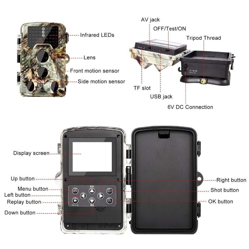 Macchina Fotografica di Caccia 16MP LED Infrarossi Trailer Macchina Fotografica Trappola a Infrarossi Gioco Wildlife Reconnaissance Camera 1080 P HD Video Caccia fotocamera