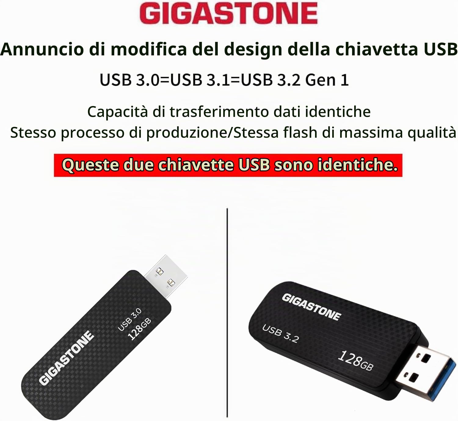 Gigastone Chiavetta USB 256 GB, Z30 USB 3.2 Gen 1 Professional Serie, Senza cappuccio con design retrattile, compatibile con interfaccia USB 2.0 / USB 3.0 / USB 3.1