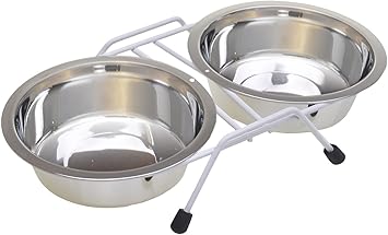 Van Ness Pets Raised Double Dish Feeder