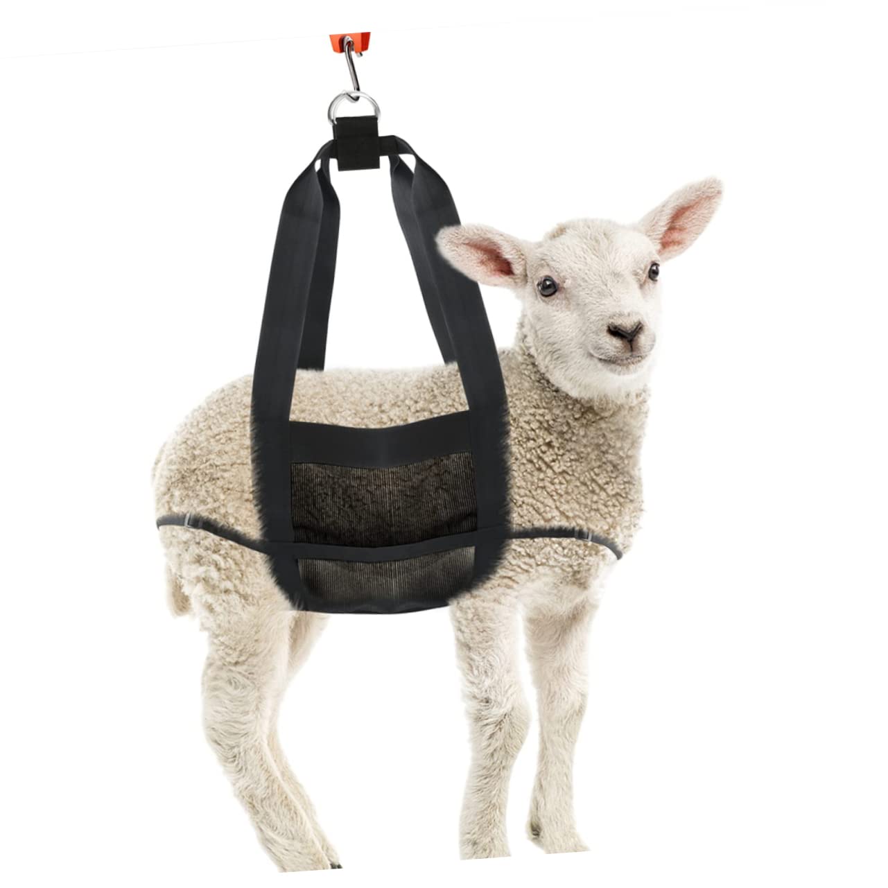 Ziegenwiegegurt aus Nylon, Schwarze Wiegeschlinge für Tiere